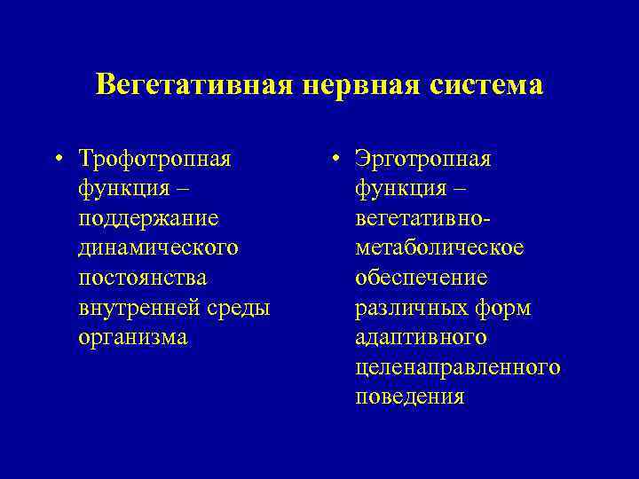 Вегетативная нервная система • Трофотропная функция – поддержание динамического постоянства внутренней среды организма •