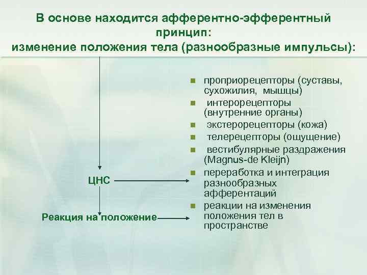 В основе находится афферентно-эфферентный принцип: изменение положения тела (разнообразные импульсы): n n n ЦНС