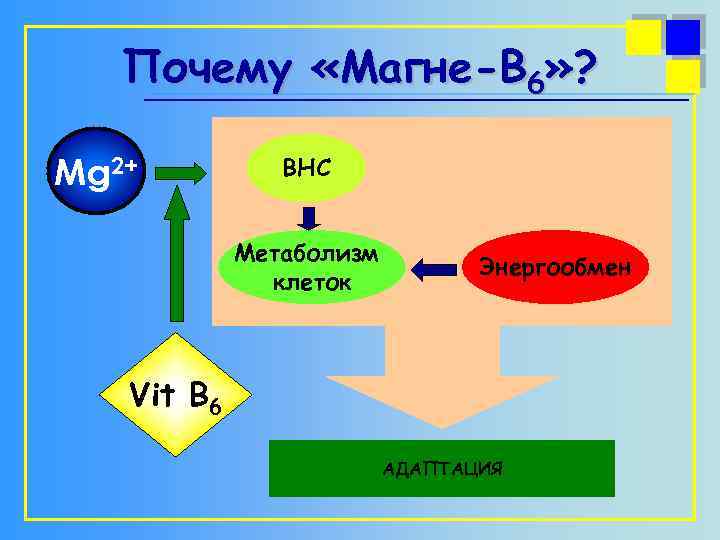Почему «Магне-В 6» ? Mg 2+ ВНС Метаболизм клеток Энергообмен Vit B 6 АДАПТАЦИЯ