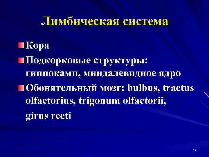 Лимбическая система Кора Подкорковые структуры: гиппокамп, миндалевидное ядро Обонятельный мозг: bulbus, tractus olfactorius, trigonum