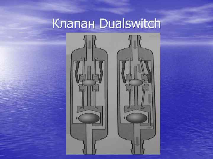 Клапан Dualswitch 