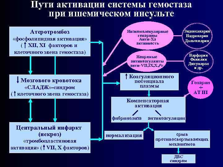 Пути активации системы гемостаза при ишемическом инсульте Атеротромбоз «фосфолипидная активация» ( XII, XI факторов