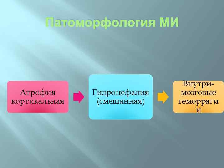 Патоморфология МИ Атрофия кортикальная Гидроцефалия (смешанная) Внутримозговые геморраги и 