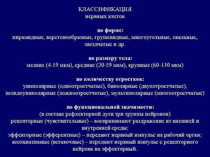 КЛАССИФИКАЦИЯ нервных клеток по форме: пирамидные, веретенообразные, грушевидные, многоугольные, овальные, звездчатые и др. по