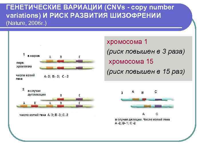 ГЕНЕТИЧЕСКИЕ ВАРИАЦИИ (CNVs - copy number variations) И РИСК РАЗВИТИЯ ШИЗОФРЕНИИ (Nature, 2006 г.