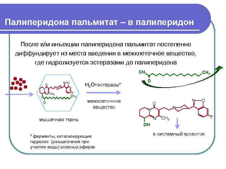 Палиперидона пальмитат – в палиперидон После в/м инъекции палиперидона пальмитат постепенно диффундирует из места