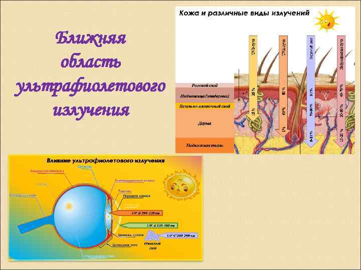 Ближняя область ультрафиолетового излучения 