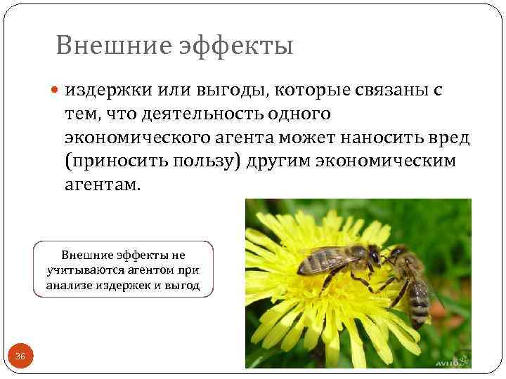 Внешние эффекты издержки или выгоды, которые связаны с тем, что деятельность одного экономического агента