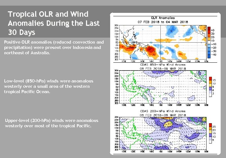 Tropical OLR and Wind Anomalies During the Last 30 Days Positive OLR anomalies (reduced