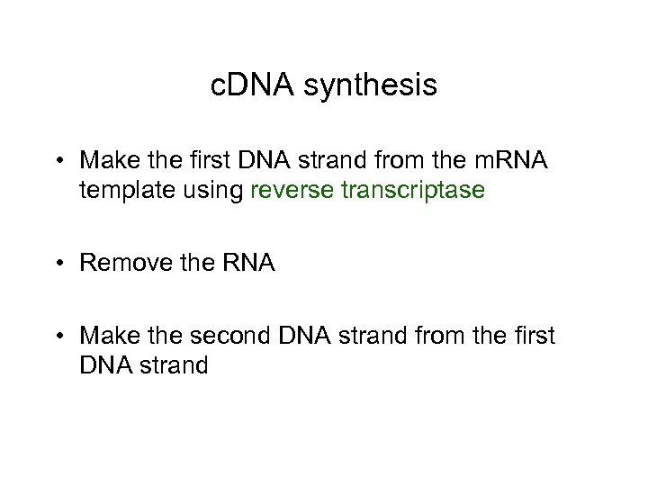 c. DNA synthesis • Make the first DNA strand from the m. RNA template