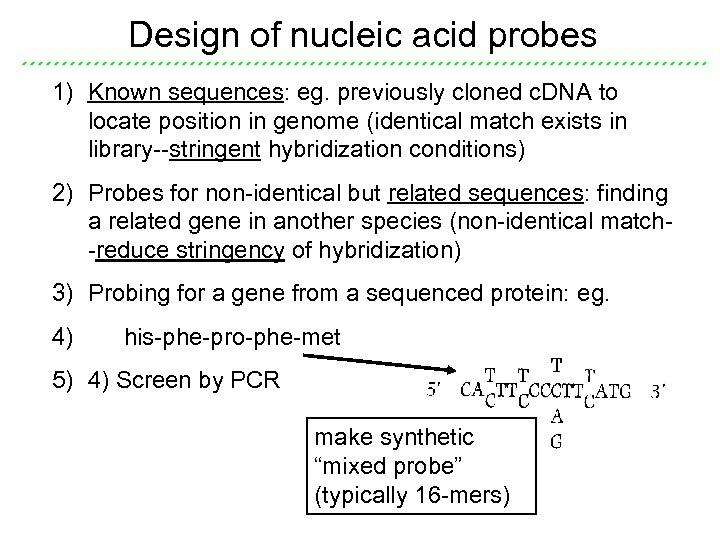 Design of nucleic acid probes 1) Known sequences: eg. previously cloned c. DNA to