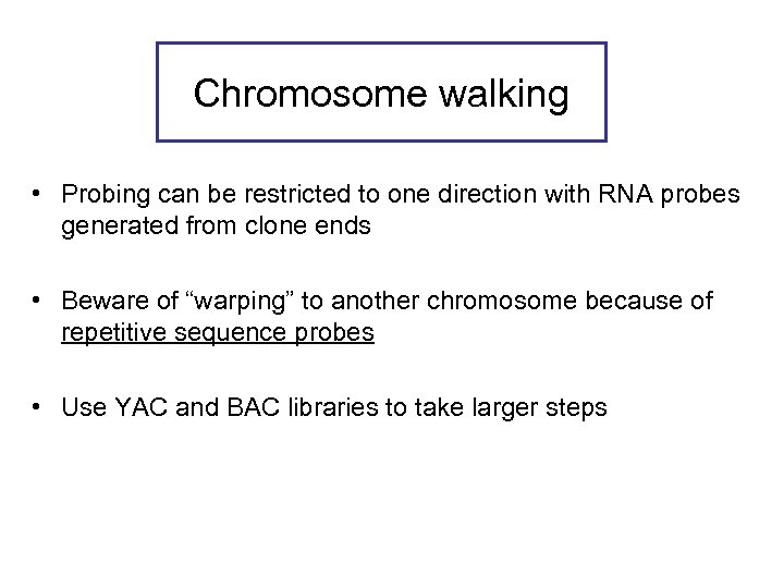 Chromosome walking • Probing can be restricted to one direction with RNA probes generated