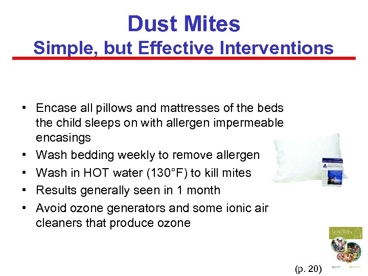 Dust Mites Simple, but Effective Interventions • Encase all pillows and mattresses of the