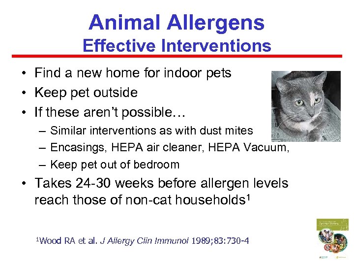 Animal Allergens Effective Interventions • Find a new home for indoor pets • Keep