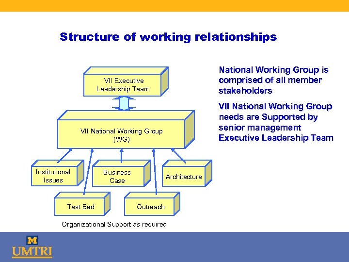 Structure of working relationships National Working Group is comprised of all member stakeholders VII