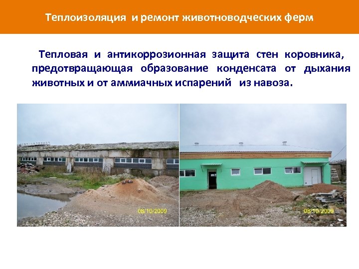Теплоизоляция и ремонт животноводческих ферм Тепловая и антикоррозионная защита стен коровника, предотвращающая образование конденсата