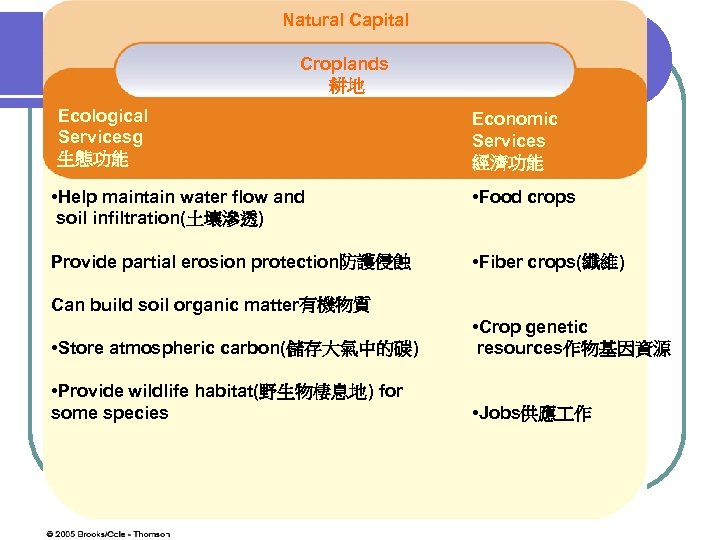 Natural Capital Croplands 耕地 Ecological Servicesg 生態功能 Economic Services 經濟功能 Ecological Services • Help
