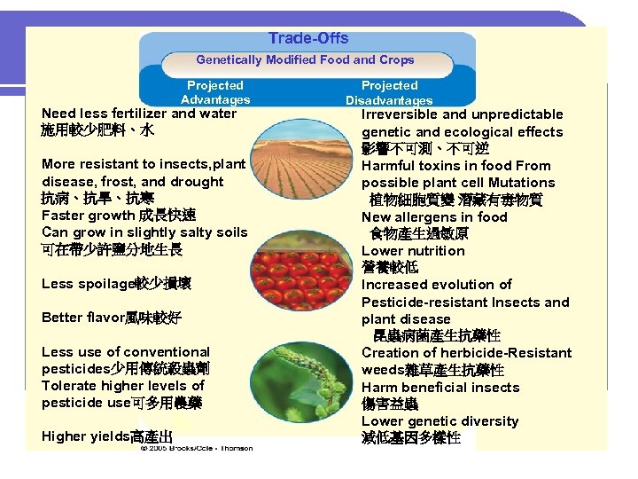 Trade-Offs Genetically Modified Food and Crops Projected Advantages Need less fertilizer and water 施用較少肥料、水
