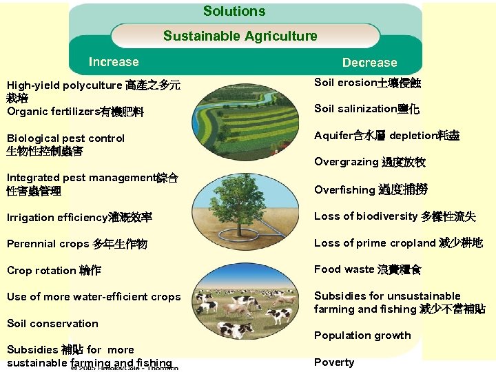 Solutions Sustainable Agriculture Increase Decrease High-yield polyculture 高產之多元 栽培 Organic fertilizers有機肥料 Soil erosion土壤侵蝕 Biological