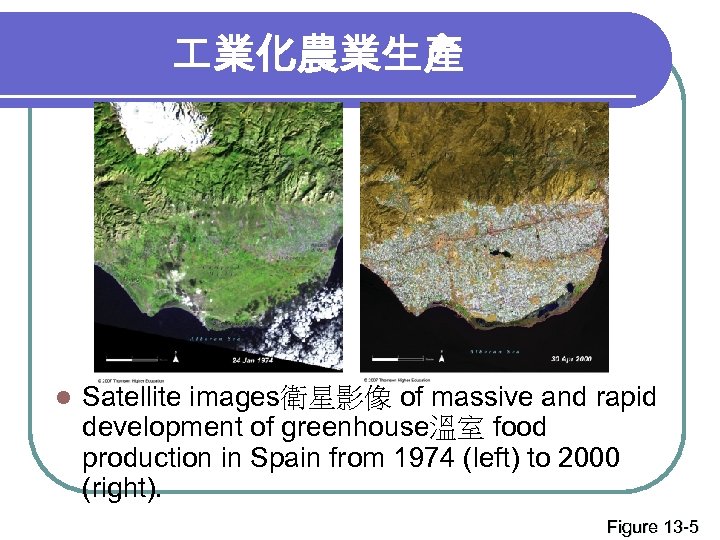 業化農業生產 l Satellite images衛星影像 of massive and rapid development of greenhouse溫室 food production