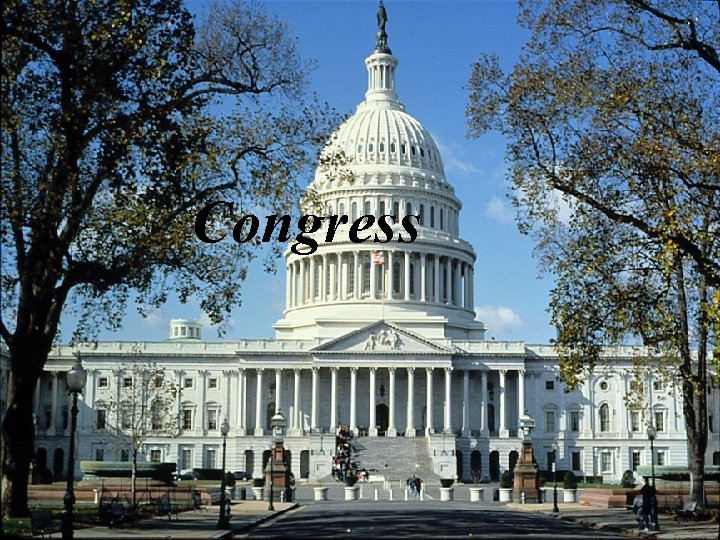Congress 