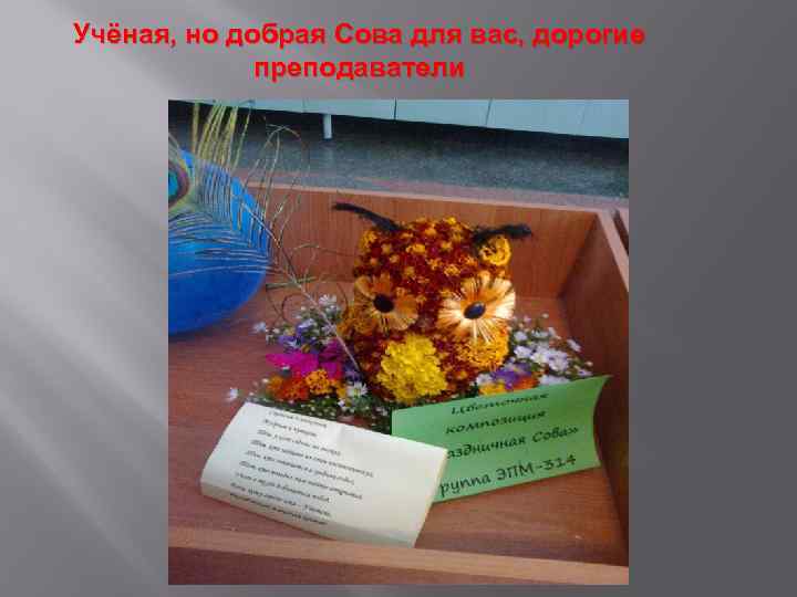 Учёная, но добрая Сова для вас, дорогие преподаватели 