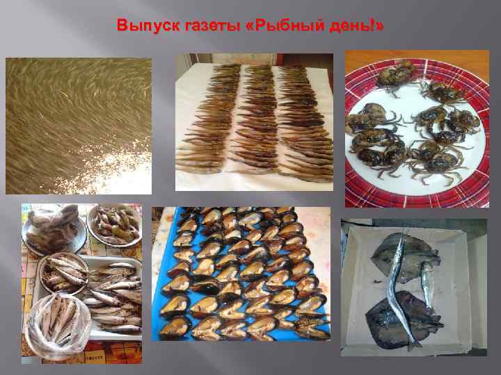 Выпуск газеты «Рыбный день!» 