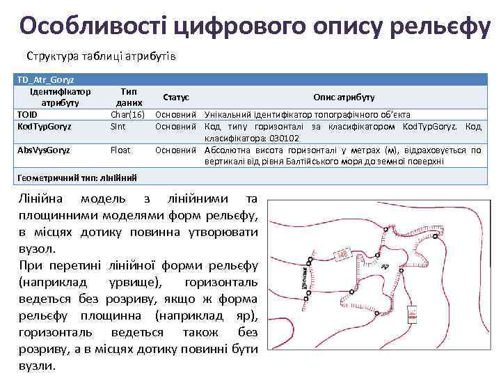 Особливості цифрового опису рельєфу Структура таблиці атрибутів TD_Atr_Goryz Ідентифікатор атрибуту TOID Kod. Typ. Goryz