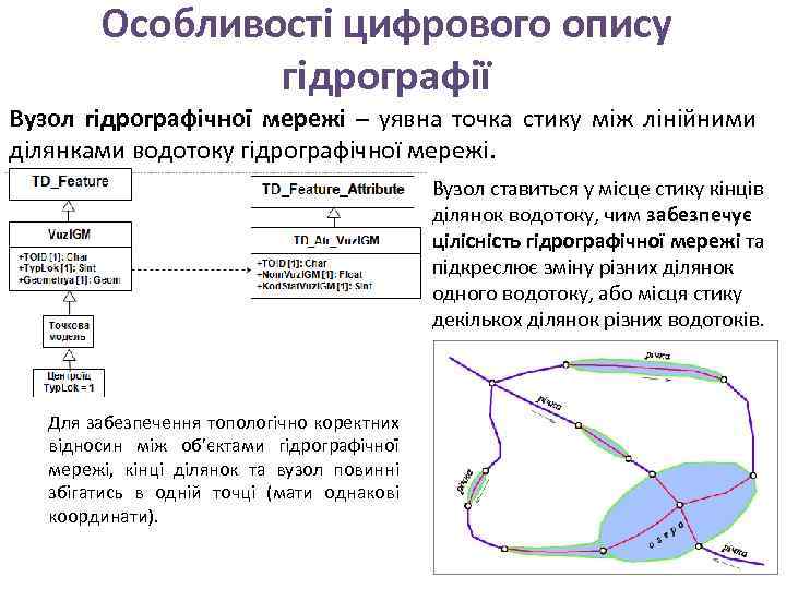 Особливості цифрового опису гідрографії Вузол гідрографічної мережі – уявна точка стику між лінійними ділянками