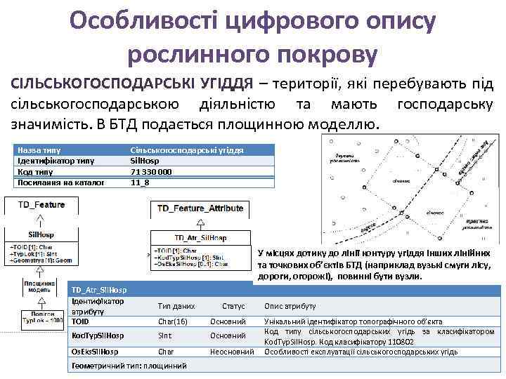 Особливості цифрового опису рослинного покрову СІЛЬСЬКОГОСПОДАРСЬКІ УГІДДЯ – території, які перебувають під сільськогосподарською діяльністю