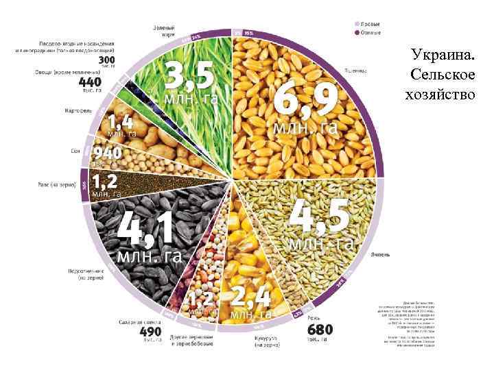 Украина. Сельское хозяйство 