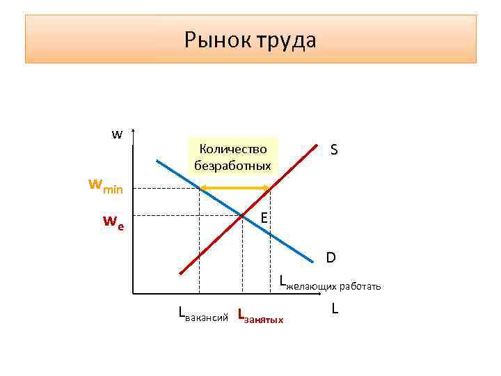 Рынок труда w wmin we S Количество безработных Е D Lжелающих работать Lвакансий Lзанятых