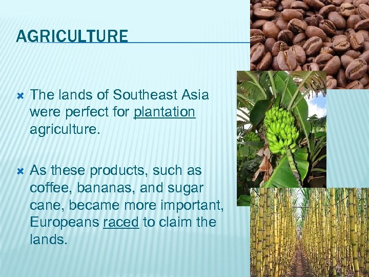 AGRICULTURE The lands of Southeast Asia were perfect for plantation agriculture. As these products,