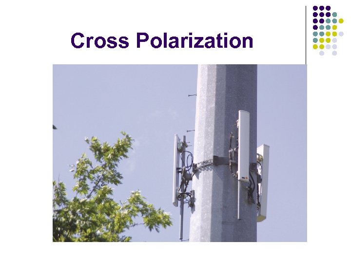 Cross Polarization 