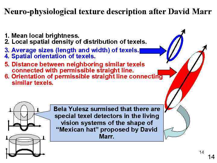 Neuro-physiological texture description after David Marr 1. Mean local brightness. 2. Local spatial density