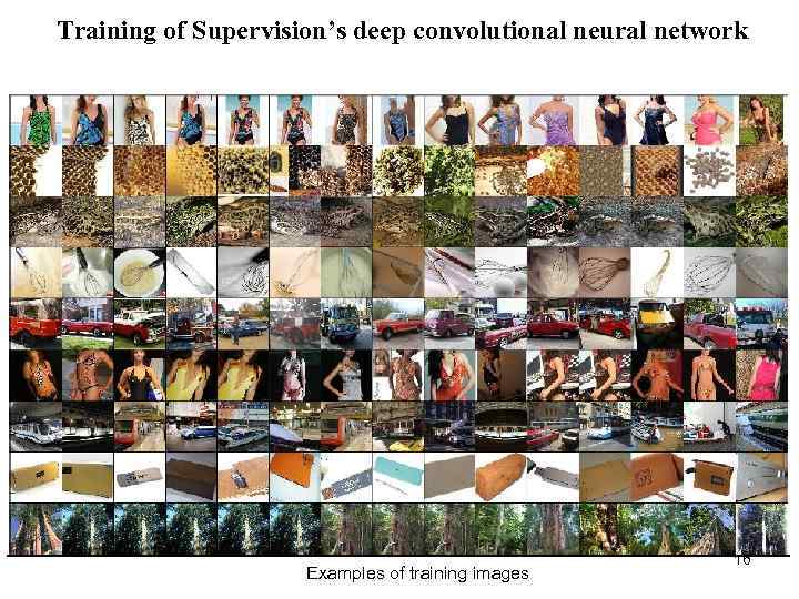 Training of Supervision’s deep convolutional neural network Examples of training images 16 
