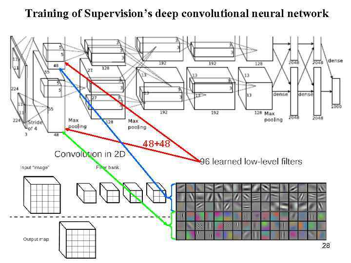 Training of Supervision’s deep convolutional neural network 48+48 28 