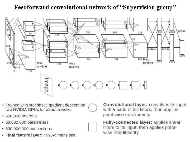 Feedforward convolutional network of “Supervision group” 3 