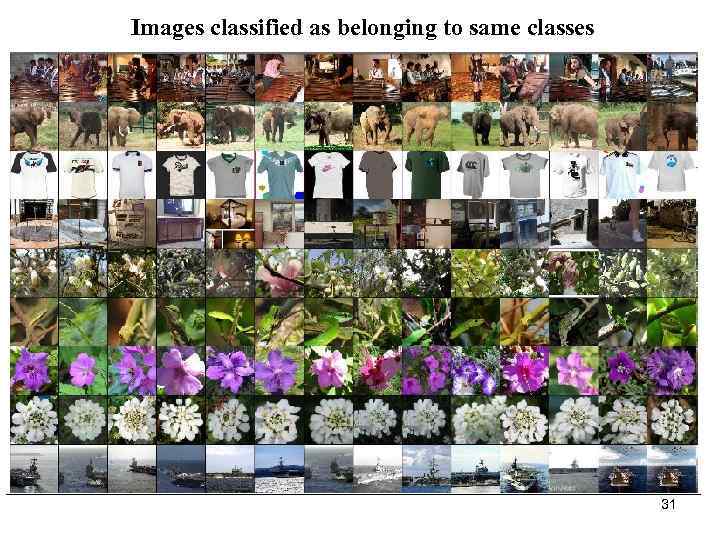 Images classified as belonging to same classes 31 