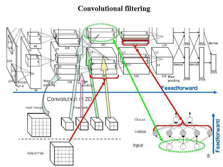 Convolutional filtering Feedforward Feeedforward Input 5 