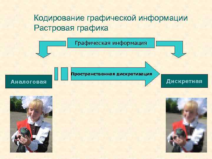 Кодирование графической информации Растровая графика Графическая информация Пространственная дискретизация Аналоговая Дискретная 