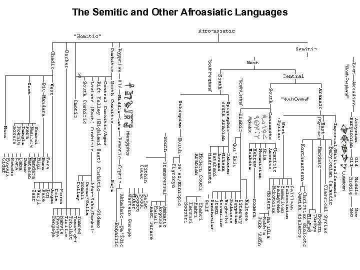 The Semitic and Other Afroasiatic Languages 