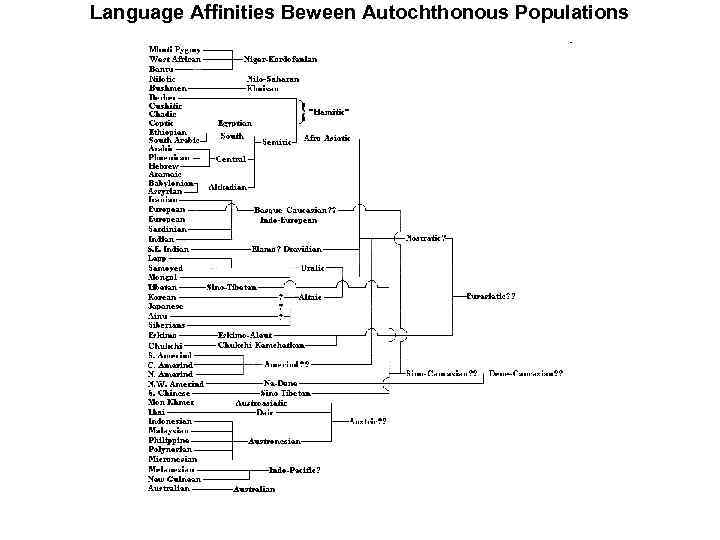 Language Affinities Beween Autochthonous Populations 