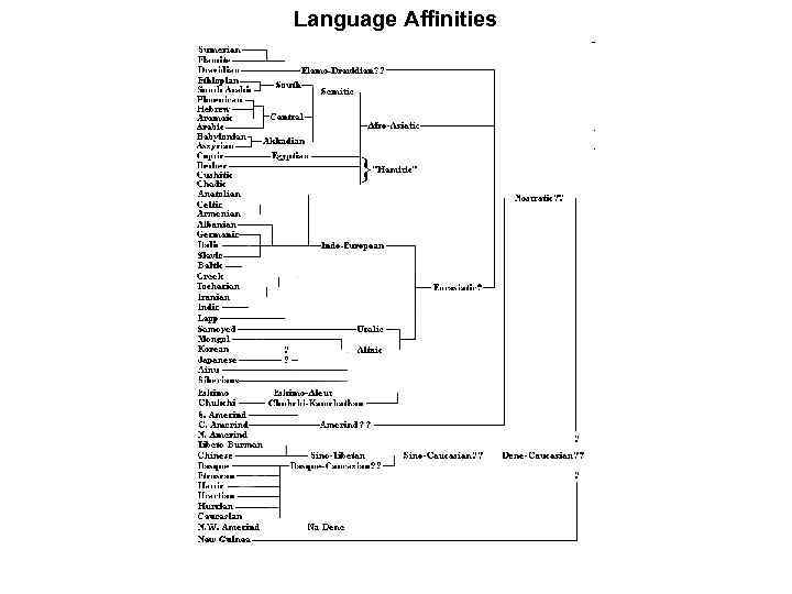 Language Affinities 