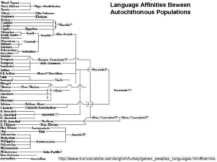 Language Affinities Beween Autochthonous Populations http: //www. transanatolie. com/english/turkey/genes_peoples_languages. htm#semitic 