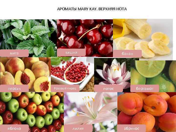 АРОМАТЫ MARY KAY. ВЕРХНЯЯ НОТА мята персик яблоко вишня Розовый перец лилия банан лотос