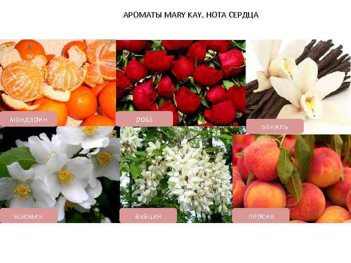 АРОМАТЫ MARY KAY. НОТА СЕРДЦА мандарин жасмин роза акация ваниль персик 