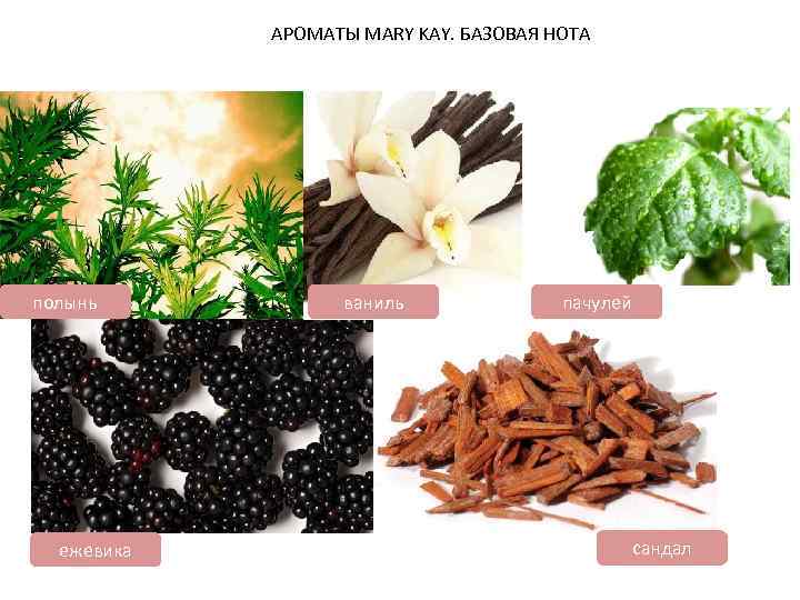 АРОМАТЫ MARY KAY. БАЗОВАЯ НОТА полынь ежевика ваниль пачулей сандал 