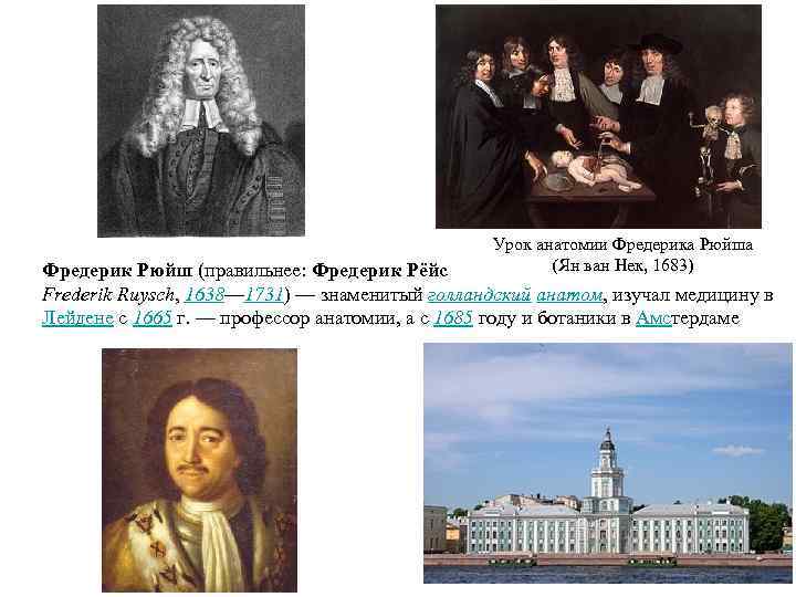 Урок анатомии Фредерика Рюйша (Ян ван Нек, 1683) Фредерик Рюйш (правильнее: Фредерик Рёйс Frederik