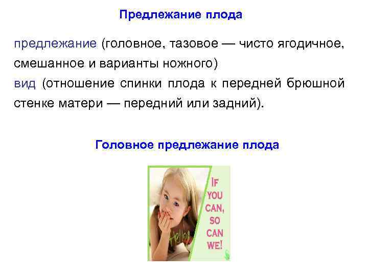 Предлежание плода предлежание (головное, тазовое — чисто ягодичное, смешанное и варианты ножного) вид (отношение